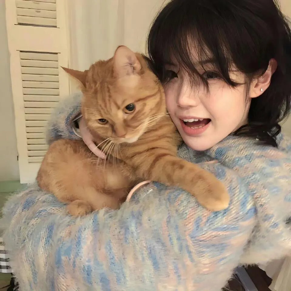 刚分手，被姐姐拉去相亲